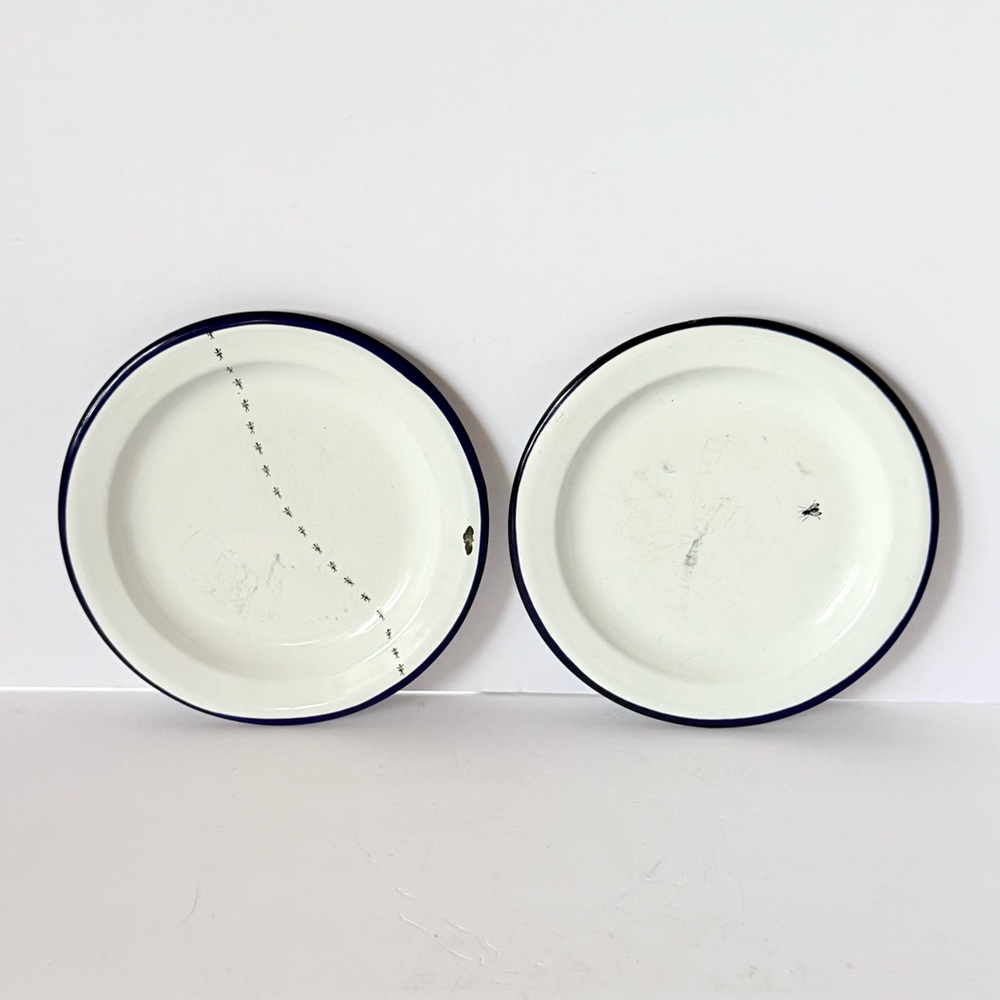 2 Vintage Rare Robert Steffy Bagatelle 88 Enamelware Plates, Fly & Ants Pattern
